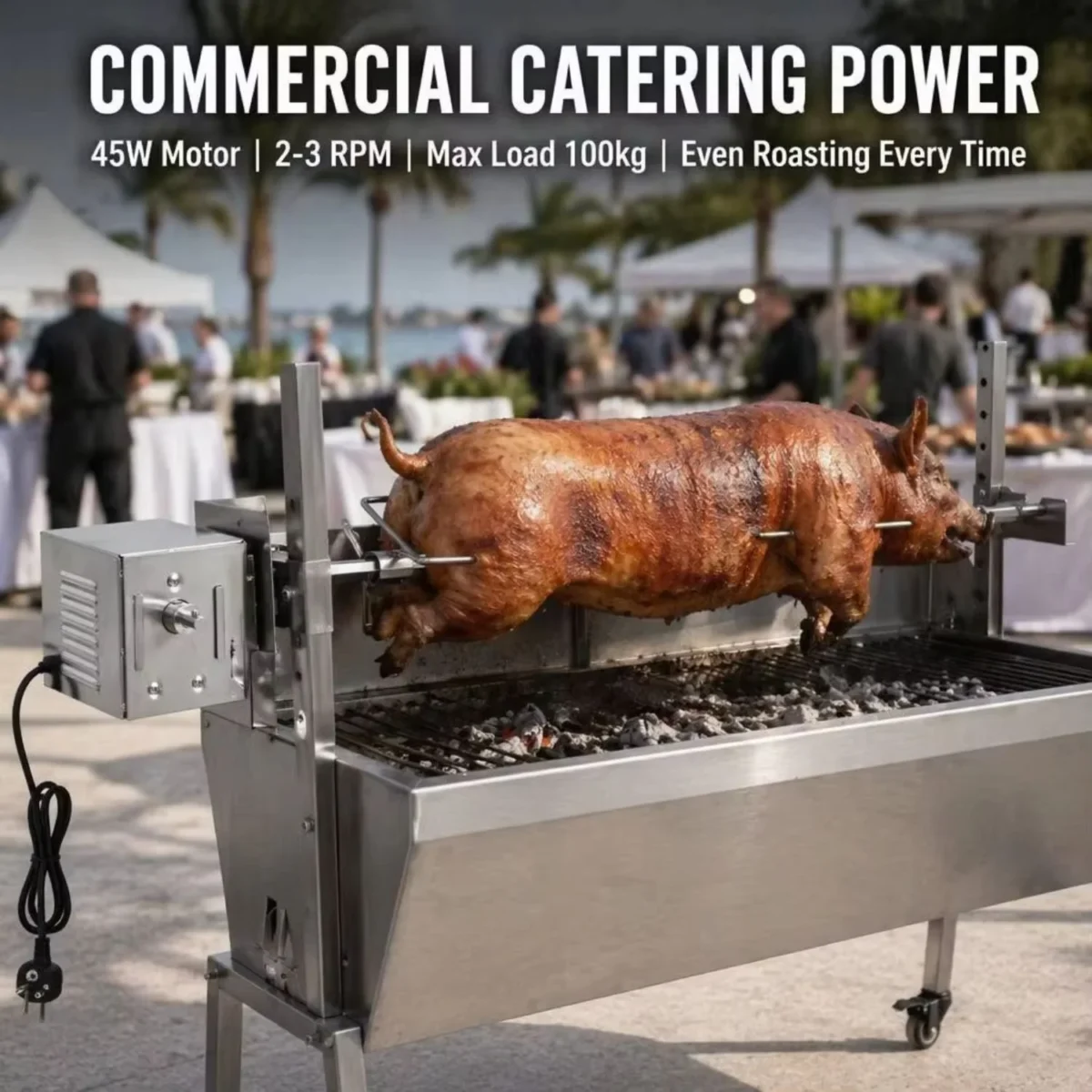 commercial catering whole pig rotisserie motor